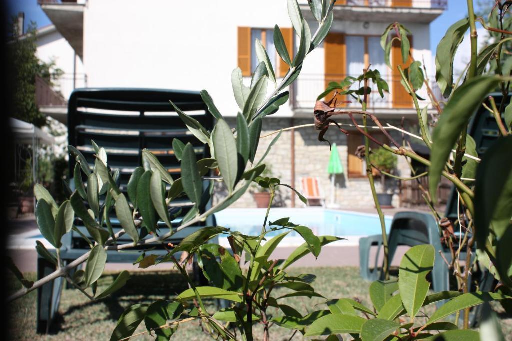 Hotel Belvedere Passignano sul Trasimeno Exterior photo